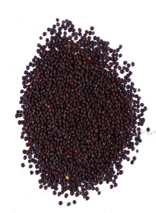 Mustard Seeds Black (200 gms)