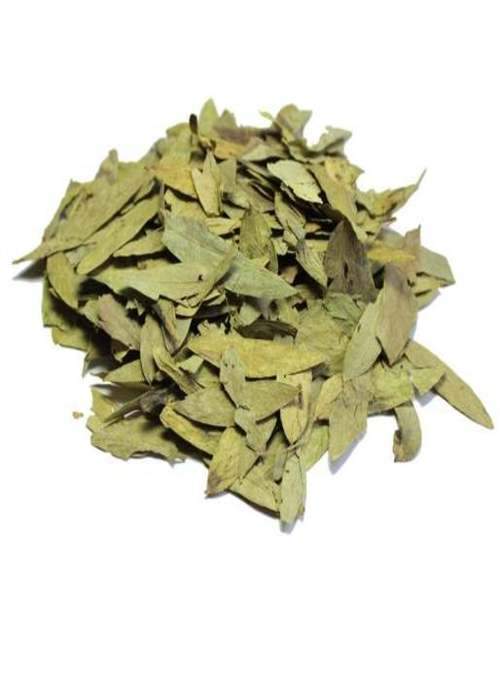 Indian Grocery Store - Senna Leaves - Singal's