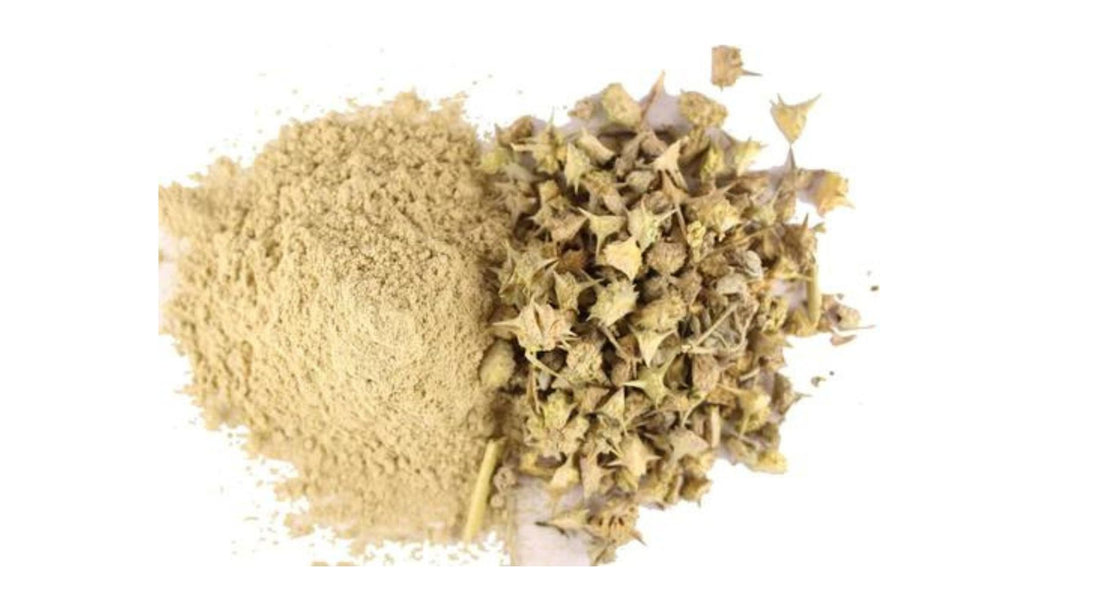 Bhakra Whole- Revitalize and rejuvenate your body with this soulful herb