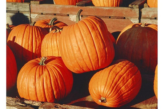 Citrouille à l'indienne  |   Indian Pumpkin Curry