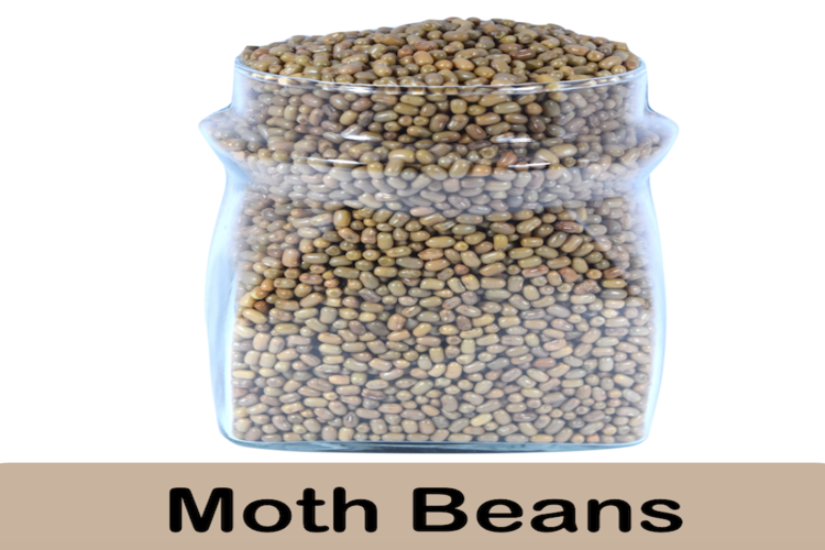 Moth Beans- Health and Taste Packed into One