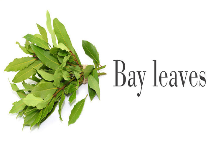 Indian Bay Leaf- An exotic addition to flavour your dishes