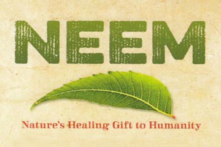 Neem : The Indian Magic Tree