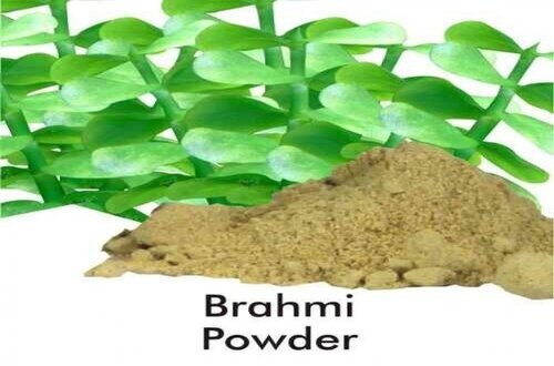 Brahmi Powder- A herbal brain tonic