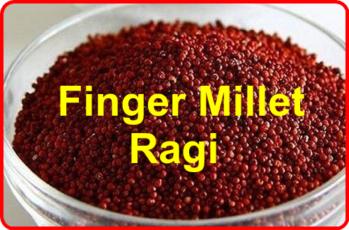 Ragi Millet - Nutrition in every bite