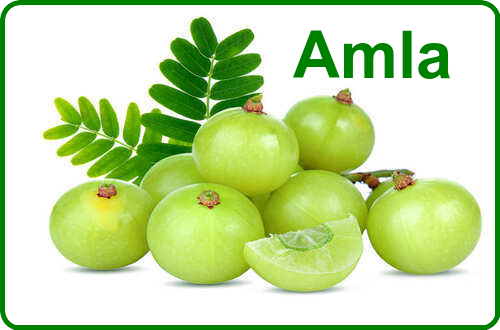 Amla - Singal's - Indian Grocery Store