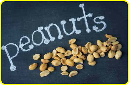 Raw peanuts- A legume rich in dietary protein