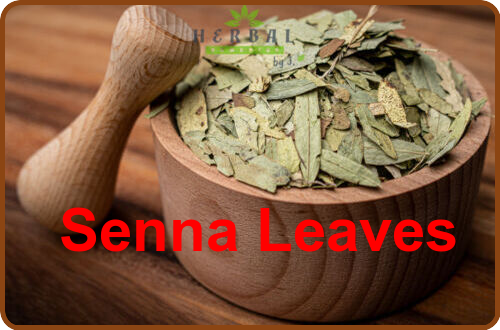 Senna Leaves- Healthy natural laxative