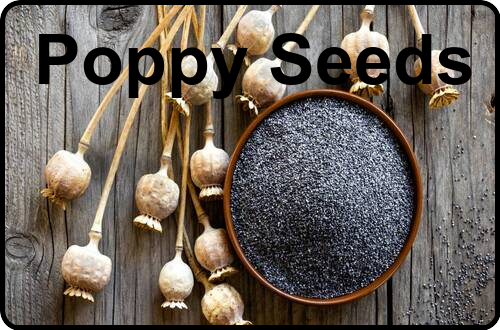 Poppy seeds- some facts about the less known oilseeds