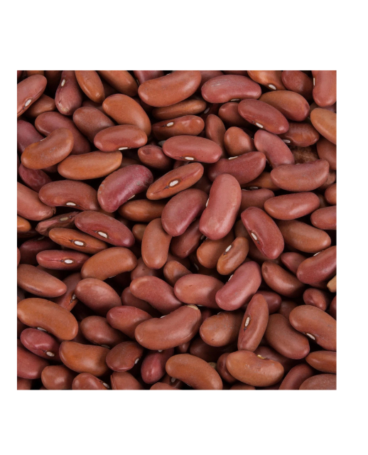 Red Kidney Beans Rajma Light