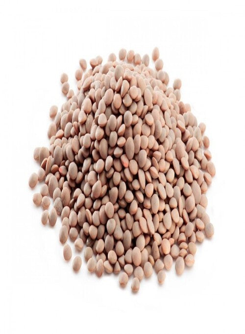 Brown Lentils Masoor Dal Whole (2 lbs) - Singal's - Indian Grocery Store