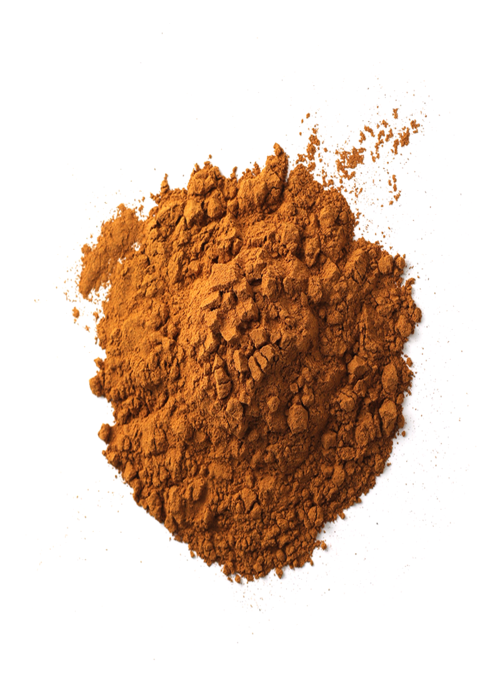 Indian Grocery Store - Cinnamon Cassia Powder - Singals