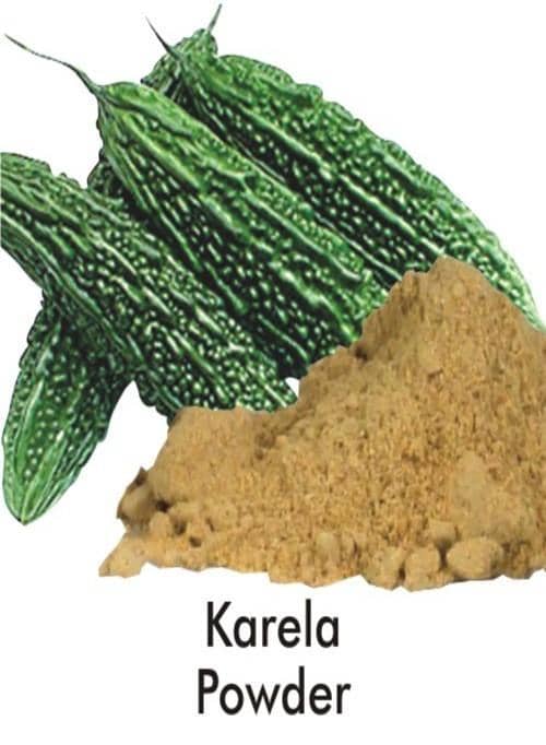 Karela Powder (200 gm)
