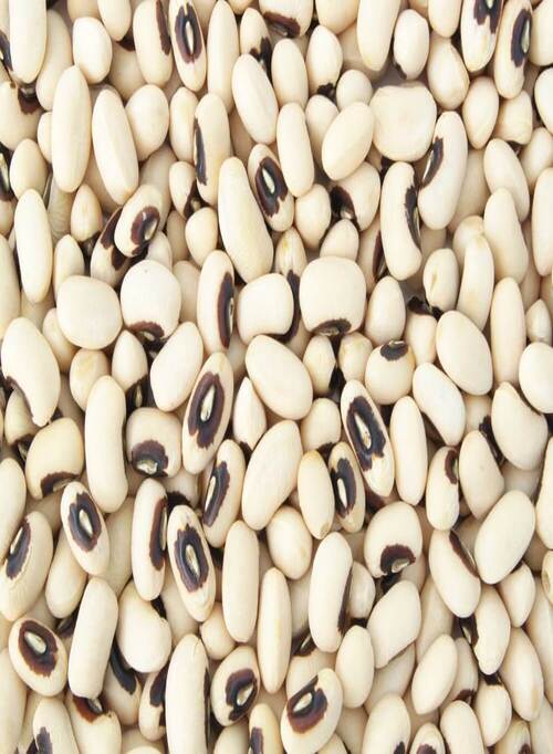 Black Eyed Beans - Singal's - Indian Grocery Store
