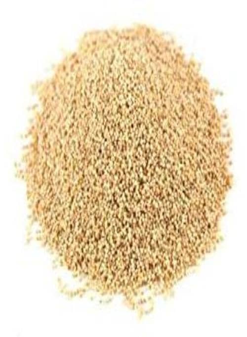 Indian Grocery Store - Poppy Seeds - Singal's