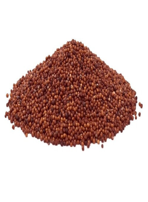 Finger Millet Ragi Whole - Singal's - Indian Grocery Store