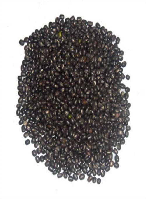 Indian Grocery Store - Black Urad Dal Whole - Singal's